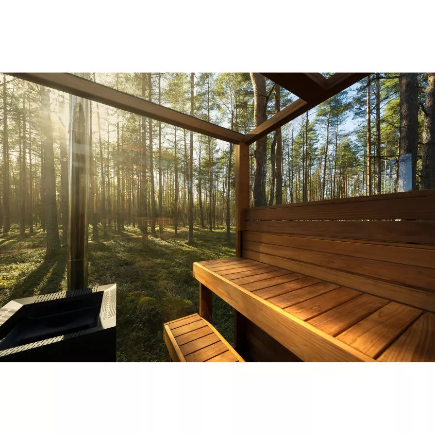 Forest view from the bench